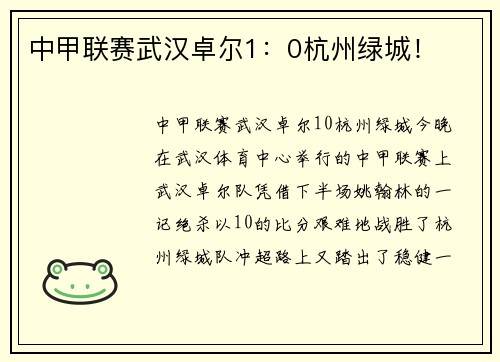 中甲联赛武汉卓尔1：0杭州绿城！