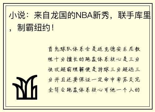 小说：来自龙国的NBA新秀，联手库里，制霸纽约！